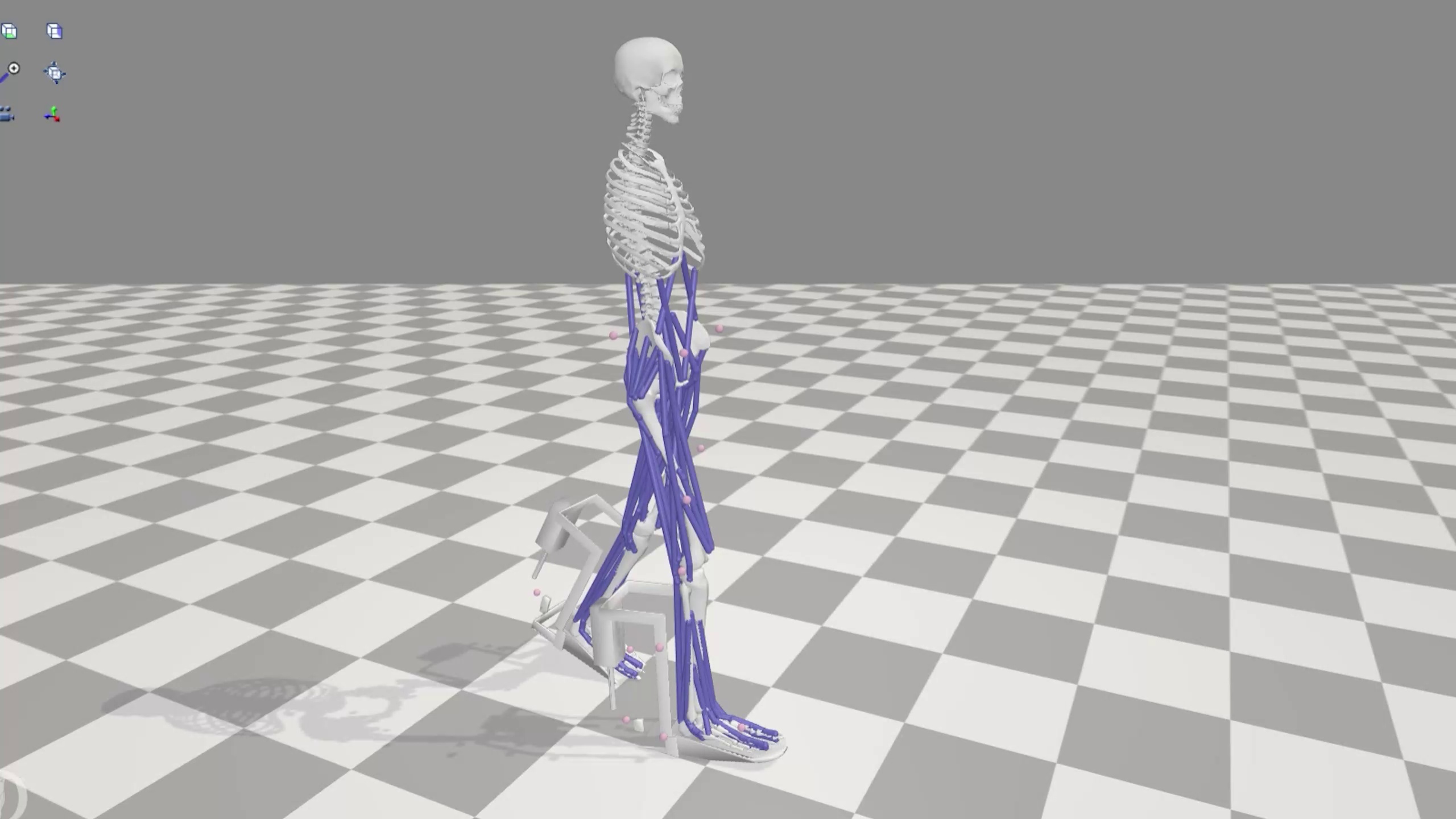 Exoskeleton Walking Simulation